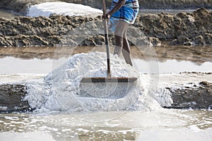 Close-up Unidentified man workers picking up, collecting the salt, in big salt fields, manual labour, organic agriculture, very ha
