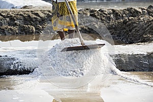 Close-up Unidentified woman workers picking up, collecting the salt, in big salt fields, manual labour, organic agriculture, very