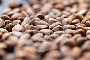 Close-up of unpeeled pine nuts, you can see the shell of a Siberian nut.