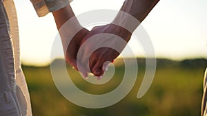 Close-up of unrecognizable young couple in love taking each other hand and walking across green field towards sunset on