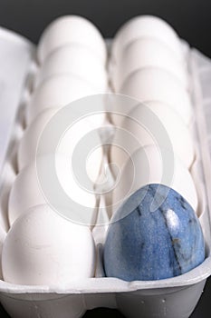 Close-up Of Unusual Carton Of Eggs 3