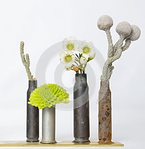 Close Up Used Bullet Casings Filled with Plants and Flowers on W