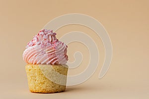 Close-up of vanilla cupcake with pink whipped butter cream top. Cream cheese frosting on muffin decorated with little pink heart