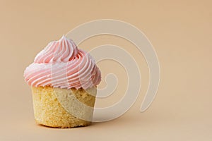 Close-up of vanilla cupcake with pink whipped butter cream top. Cream cheese frosting on muffin decorated with little pink heart