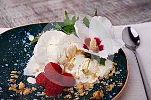 Close-up of vanilla ice cream with raspberries. A blue bowl with ice cream and a flower on a fabric. Sweet desserts for gourmets.