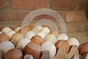close up of a variety of farm fresh eggs