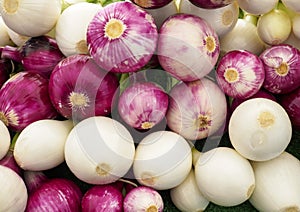 Close up of Various Onion Bulbs