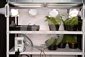 close-up of the various parts and pieces that go into a homegrow setup, including lighting and ventilation photo