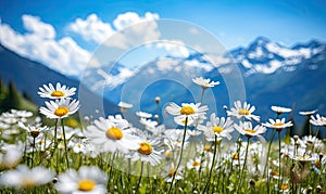 Close-up vast field of delicate white daisies under a clear sky, with towering alpine mountains in the backdrop. Created by AI