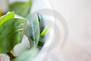 Close up of vegetable salad bowl