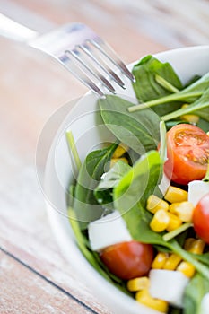 Close up of vegetable salad bowl