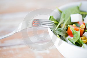 Close up of vegetable salad bowl