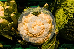 Close up of vegetables on market stand