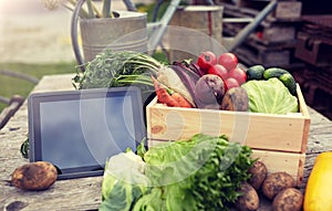 Close up of vegetables with tablet pc on farm
