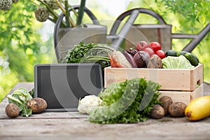 Close up of vegetables with tablet pc on farm