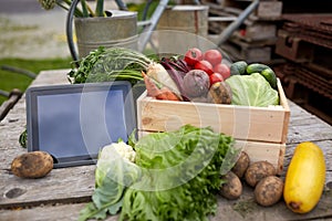 Close up of vegetables with tablet pc on farm