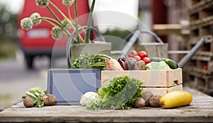 Close up of vegetables with tablet pc on farm