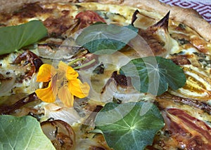 Close-up of vegetarian pie with edible flower.