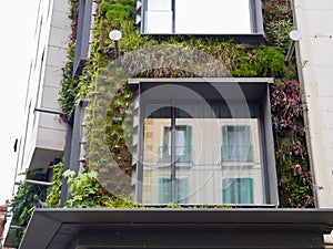 Close up of vertical garden of sustainable building with reflection of historical house in window. Madrid, Spain.