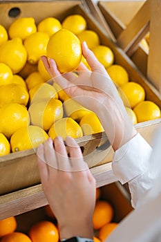 Close-up vertical shot of hands of unrecognizable young woman choosing lemons at the grocery store picks up lemons