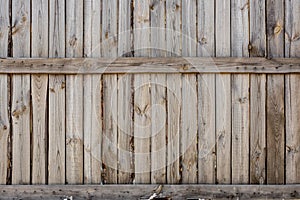 Close-up of vertical simple oak wooden fence background. Old knotted timber wall. Vintage rustic pattern. Copyspace photo