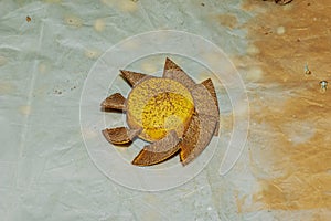 Close-up of a very dirty kitchen exhaust fan. Fan before preventive cleaning and washing. Dirty details