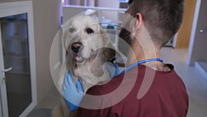 Close-up vet checking dog`s ear with otoscope