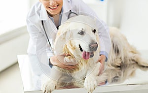 Close up of vet with retriever dog at clinic