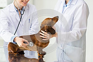 Close up of vet with stethoscope and dog at clinic