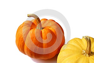 Close Up of a Vibrant Orange Color Ripe Pumpkin and a Yellow One in Foreground Isolated on White Background