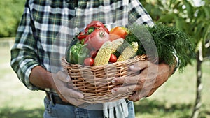 Close up video of basket full of seasonal vegetables.