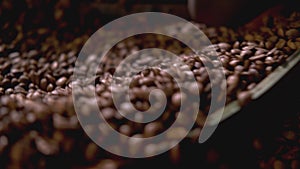 Close up video of cooling fresh roasted coffee beans in roastery