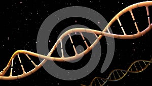 Close-up video of DNA loops