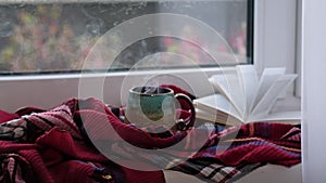 Close up video. Steaming coffee cup on a rainy day window background. cozy atmosphere, in cold weather. Rainy Day Mood.