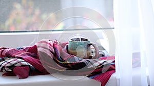 Close up video. Steaming coffee cup on a rainy day window background. cozy atmosphere, in cold weather. Rainy Day Mood