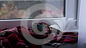 Close up video. Steaming coffee cup on a rainy day window background. cozy atmosphere, in cold weather. Rainy Day Mood