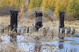 Close up view of abandoned ruins of an old bridge, which is situated in a river in a forest of Hayward, Wisconsin