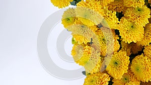 Close-up, view from above, Flowers, bouquet, rotation on white background, floral composition consists of yellow