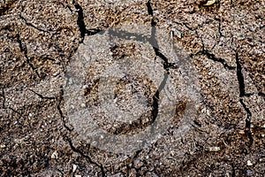 Close up view on an agricultural field with a dry texture