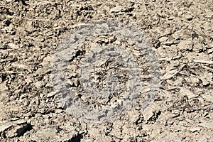 Close up view on agricultural fields with dry ground and tractor tracks