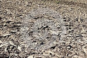 Close up view on agricultural fields with dry ground and tractor tracks