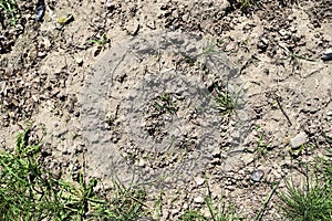 Close up view on agricultural fields with dry ground and tractor tracks