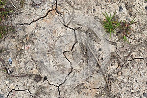 Close up view on agricultural fields with dry ground and tractor tracks
