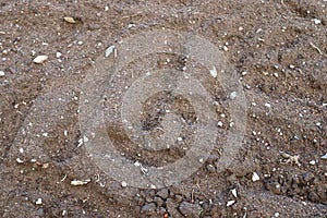 Close up view on agricultural fields with dry ground and tractor tracks