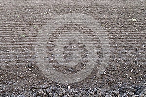 Close up view on agricultural fields with dry ground and tractor tracks