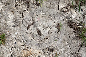 Close up view on agricultural fields with dry ground and tractor tracks