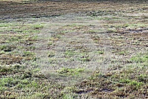 Close up view on agricultural fields with dry ground and tractor tracks