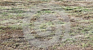 Close up view on agricultural fields with dry ground and tractor tracks