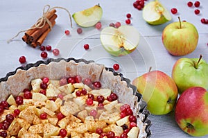 Close up view on apple pie in the baking dish decorated with fresh apples, cranberry, spices, cinnamon sticks on the gray table