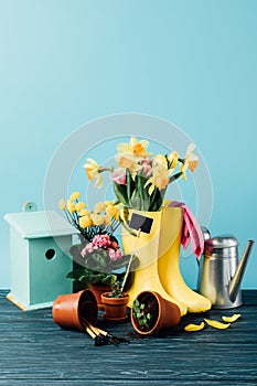 close up view of arranged rubber boots with flowers, flowerpots, gardening tools, watering can and birdhouse on wooden tabletop on